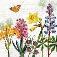 SPRING FLOWERS, Ambiente