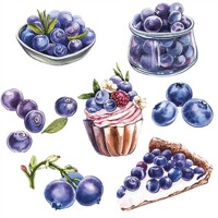 BLUEBERRIES, Ambiente