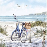  BIKE AT THE BEACH, Ambiente