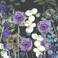  LUNARIA grey, Ambiente