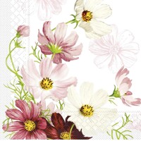 COSMEA 40x40, Mank