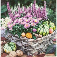 Servítky kusové AUTUMN BASKET, HF