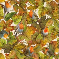 HIDDEN ROBINS, Ambiente