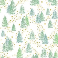  TOMMY 40x40 Linclass, Mank