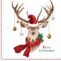  JANOSCH 40x40 Linclass, Mank