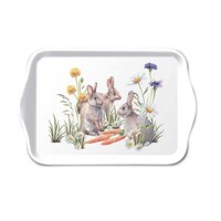 CARROT TREAT, Ambiente