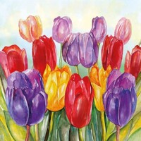 COLOIRFUL TULIPS, Ambiente