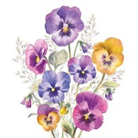 PANSIES 33x33, Ambiente