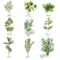 HERB SELECTION, Ambiente