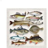 FISH VARIETY, Ambiente