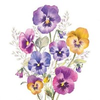 PANSIES 25x25, Ambiente