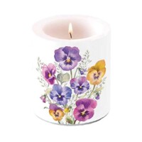 PANSIES medium, Ambiente