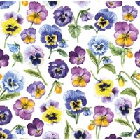 PANSY ALL OVER 25x25, Ambiente