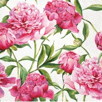 PINK PEONIES 33x33, Paw