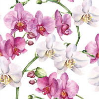 ELEGANT ORCHIDS white 33x33, Ambiente