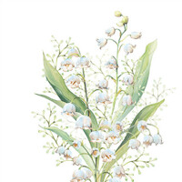 LILY OF THE VALLEY white, Ambiente