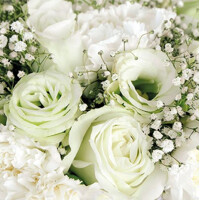 ROSES BOUQUET 33x33, Ambiente