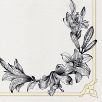 ROYAL LILY 40x40/50, PAW