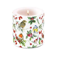 Candle small Birds in winter, Ambiente