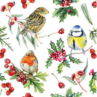BIRDS IN WINTER 33x33, Ambiente