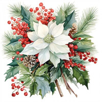 POINSETTIA BOUQUET white 33x33, Ambiente