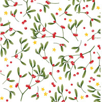 LENI 40x40 Linclass, Mank