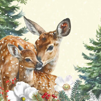 KEMI 40x40 Linclass, Mank