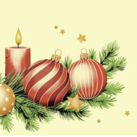 KERSTIN 40x40/50 Softpoint, Mank