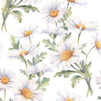 BEAUTIFUL DAISIES white, Ambiente