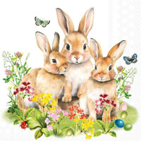 BUNNY FAMILY 33x33, Ambiente