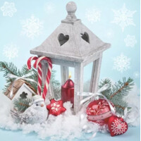 XMAS LANTERN ON SNOW 33x33, Daisy