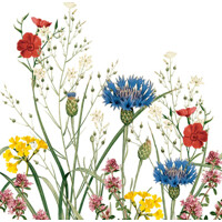 EDITH 40x40 Linclass, MANK