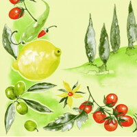 FRANCESCO 40x40 Linclass, MANK