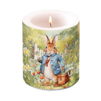 MISTER RABBIT medium, Ambiente