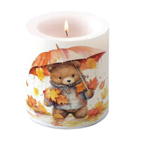 UMBRELLA BEAR medium, Ambiente