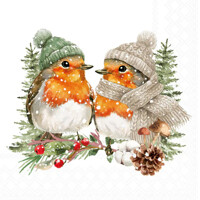 WARMLY DRESSES ROBINS 33x33, Ambiente