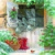 Santa´s Donkeys, Ambiente