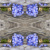 Forget-me-not, Home Fashion