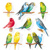 BIRDIES, Ambiente