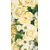 obrus Home Fashion