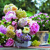 PEONY ARRANGEMENT, Ambiente