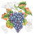 GRAPE VINE, Ambiente