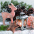 Winter Time, Ambiente