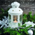 X-MAS Atmosphere, Ambiente