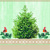 LITTLE ROBINS, Ambiente