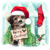 CHRISTMAS PUPPY, Ambiente