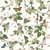 BUTTERFLY PARADISE, Ambiente