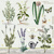 HERBS GARDEN, Ambiente