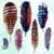  FEATHERS blue, Ambiente