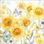  CLASSIC DAFFODILS, Ambiente